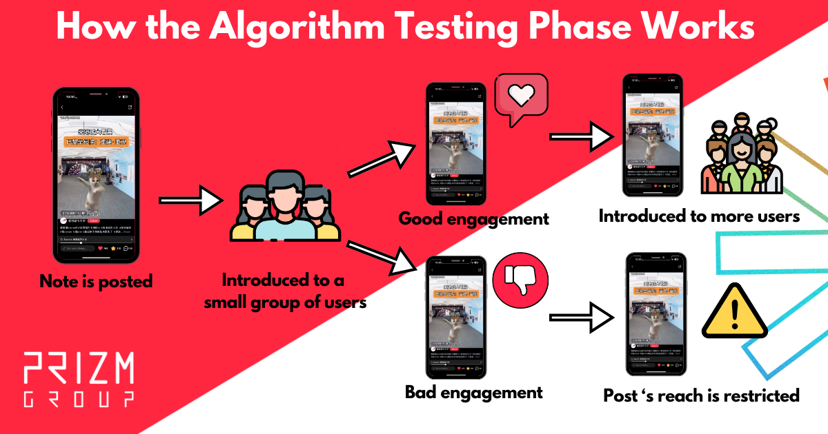 How the algorithm testing phase works