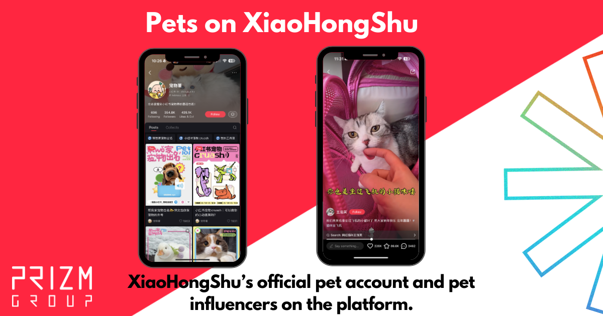 Pet Influencer and Content on XiaoHongShu